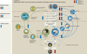 grondlegger circulaire economie